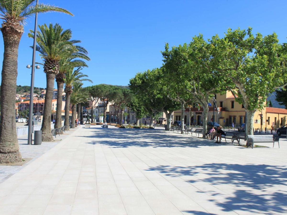 Appart T1 A 250M Plage, Clim, Wifi, Parking, Centre Banyuls - Fr-1-225C-75 Bagian luar foto